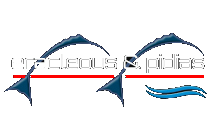 Eracleous & Pidias